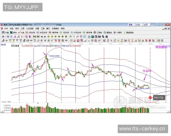深圳排球队防反战术解析与热点动态全景解读 深圳排球队防反战术解析与热点动态全景解读